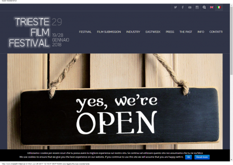 Trieste Film Festival